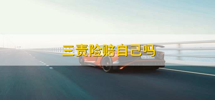 三责险赔自己吗