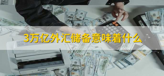 3万亿外汇储备意味着什么