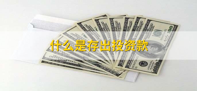 什么是存出投资款