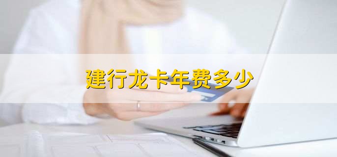 建行龙卡年费多少