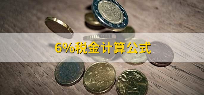 6%税金计算公式