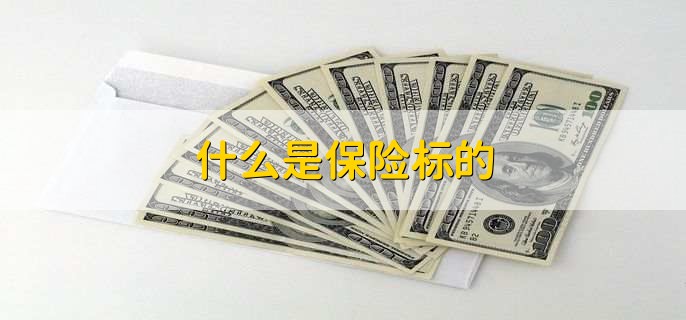 什么是保险标的