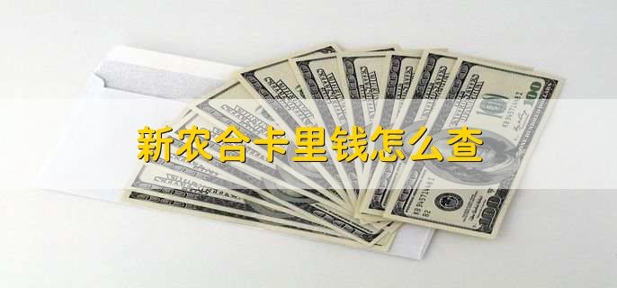 新农合卡里钱怎么查