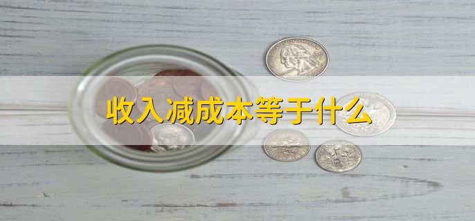 收入减成本等于什么
