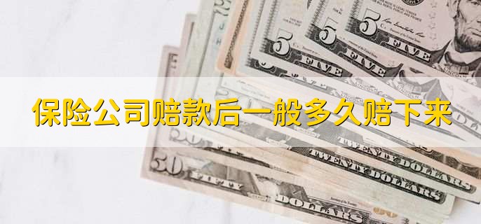 保险定损员最害怕什么,有以下两点