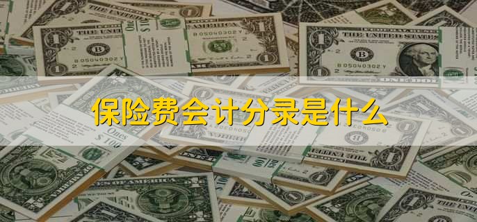 保险费会计分录是什么