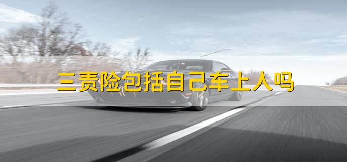 三责险包括自己车上人吗