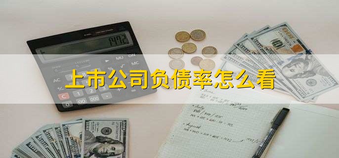 现金流动负债比率公式,资产负债率低意味着什么