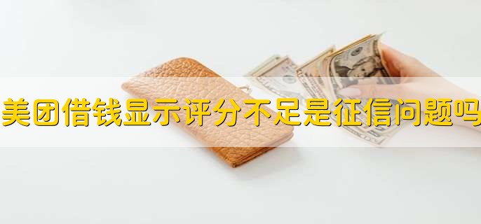 美团借钱有额度能用吗,不一定