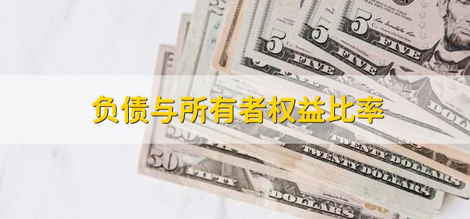 负债与所有者权益比率