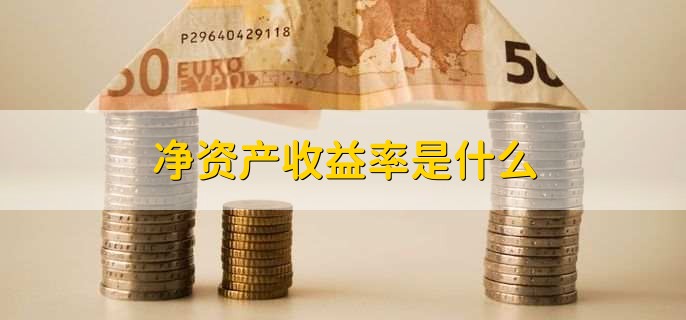 个人净资产是什么意思,私人财产