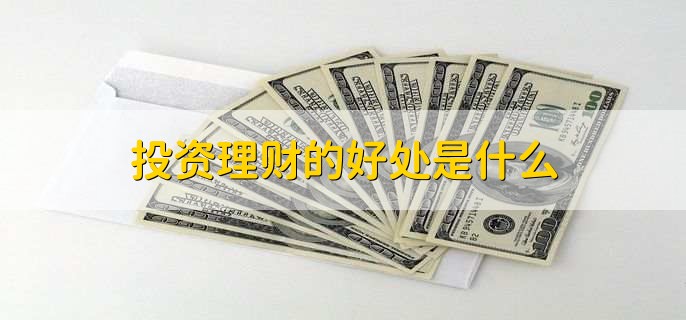 投资性主体是什么意思,投资总额包括什么