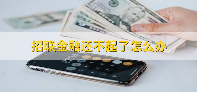 招联金融还不起了怎么办
