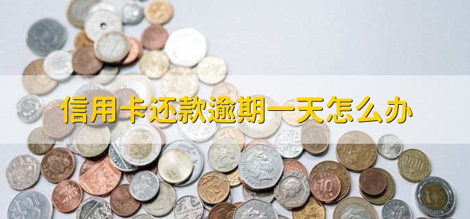 信用卡还款逾期一天怎么办,尽快还款