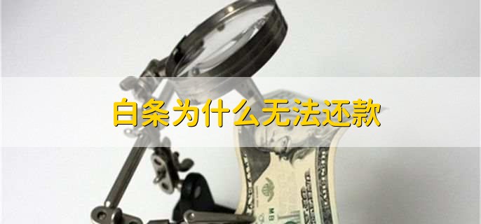 白条不能提前还全部的吗,可以