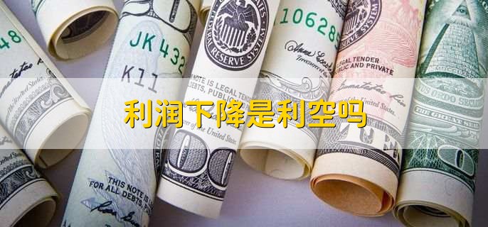 利润除以收入是什么意思,是利润率