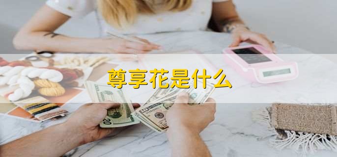 尊享花是什么