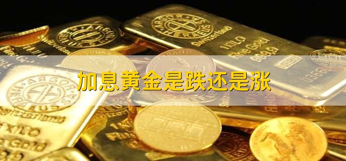 加息黄金是跌还是涨