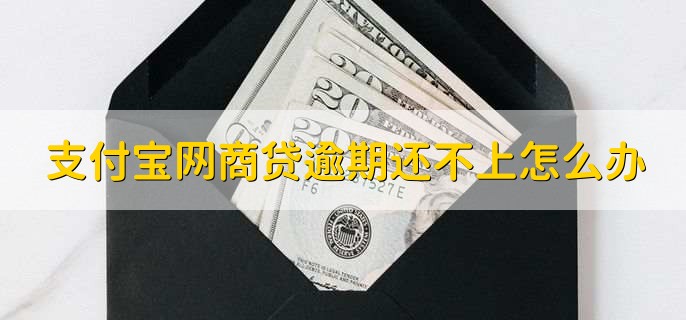 支付宝网商贷逾期了暂时还不上怎么办