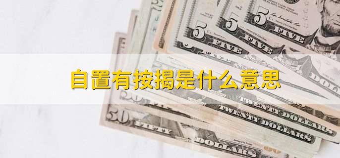 自置有按揭是什么意思