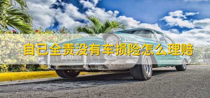 自己全责没有车损险怎么理赔