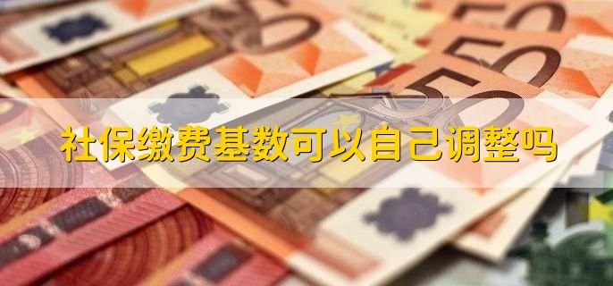 社保缴费基数可以自己调整吗,可以