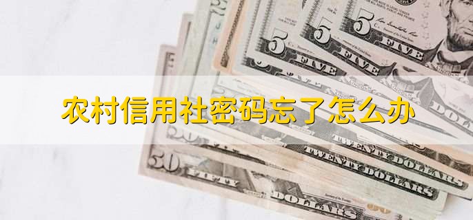 农村信用社中午可以办理业务吗,可以
