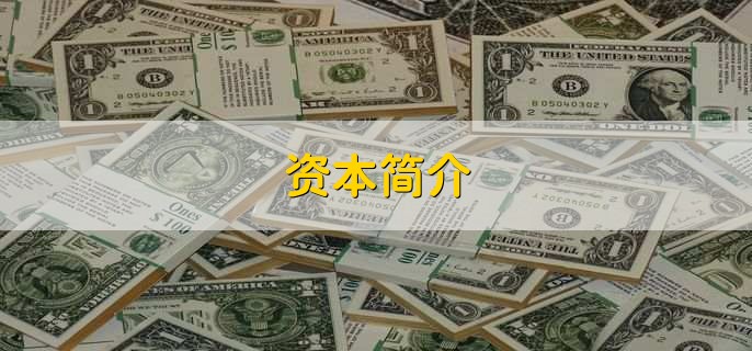 资本保值增值率计算公式,是什么意思