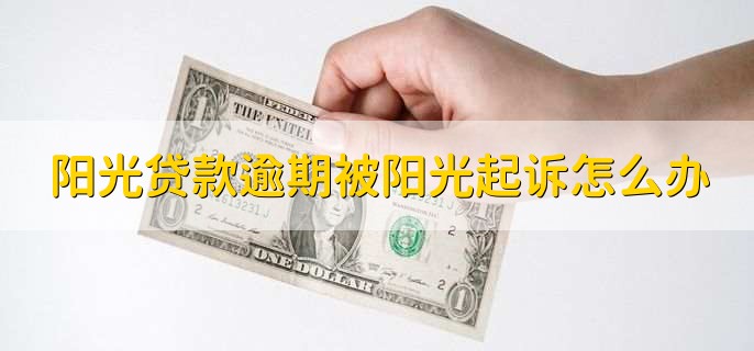 阳光贷款逾期被阳光起诉怎么办