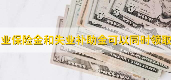 失业保险金和失业补助金可以同时领取吗