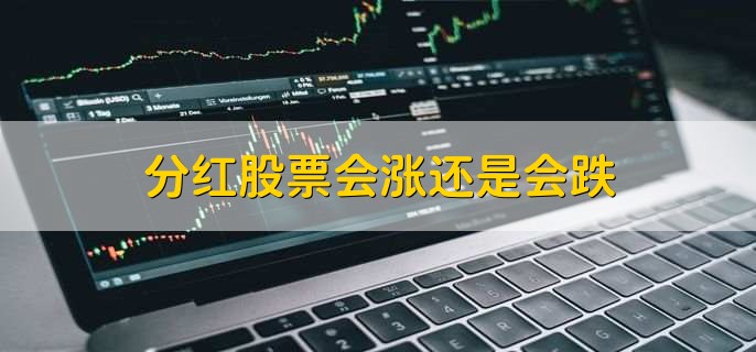 分红股票会涨还是会跌