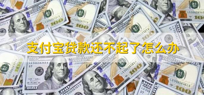 支付宝贷款还不起了怎么办