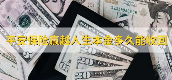 平安保险赢越人生本金多久能收回