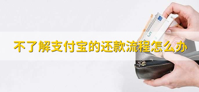 不了解支付宝的还款流程怎么办