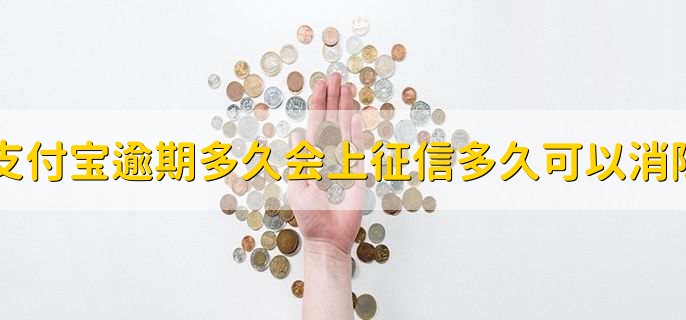 支付宝逾期多久会上征信多久可以消除