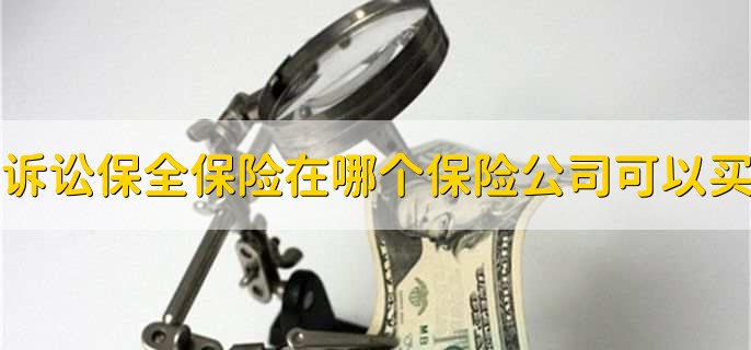 诉讼保全保险在哪个保险公司可以买
