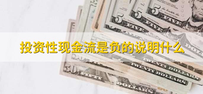 投资性现金流是负的说明什么
