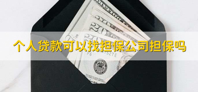 个人贷款可以找担保公司担保吗