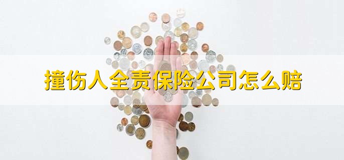 撞伤人全责保险公司怎么赔,有以下四点