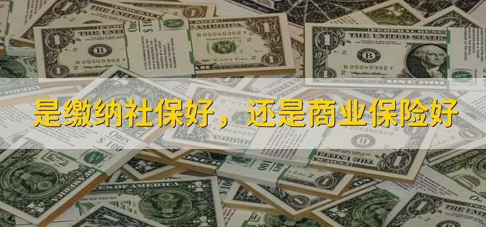是缴纳社保好,还是商业保险好