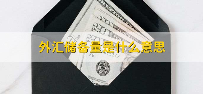 外汇储备量是什么意思