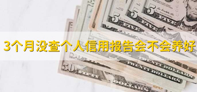 3个月没查个人信用报告会不会养好
