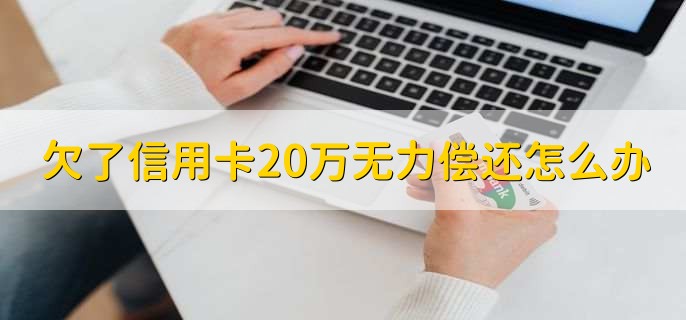 欠了信用卡20万无力偿还怎么办，有以下两种办法
