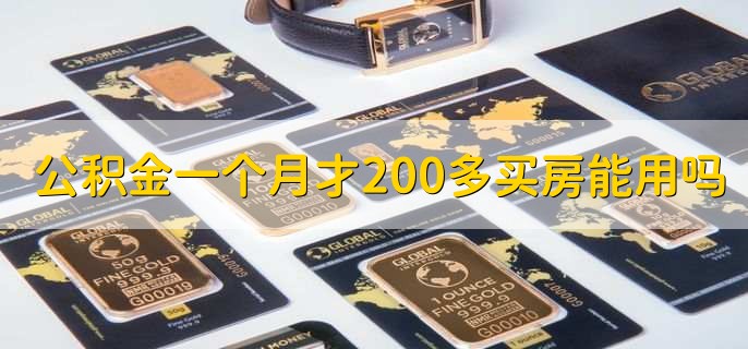 公积金一个月才200多买房能用吗