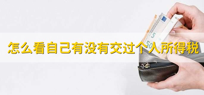 怎么看自己有没有交过个人所得税,分以下四步