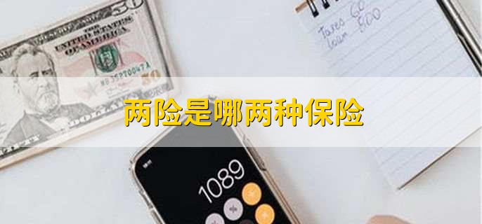 两险是哪两种保险
