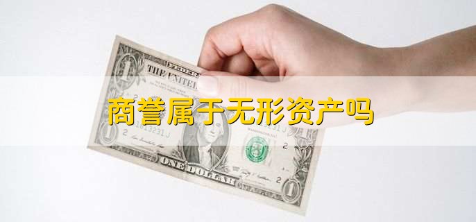 商誉属于无形资产吗,不属于