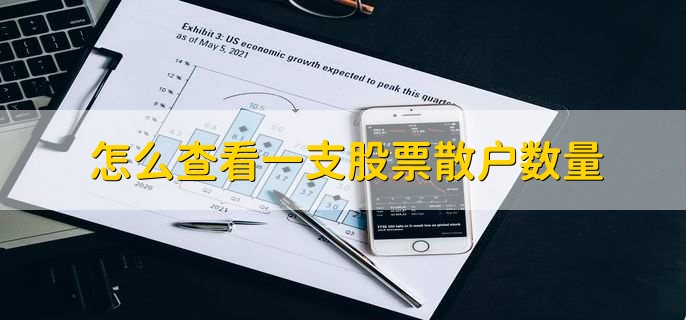 怎么查看一支股票散户数量