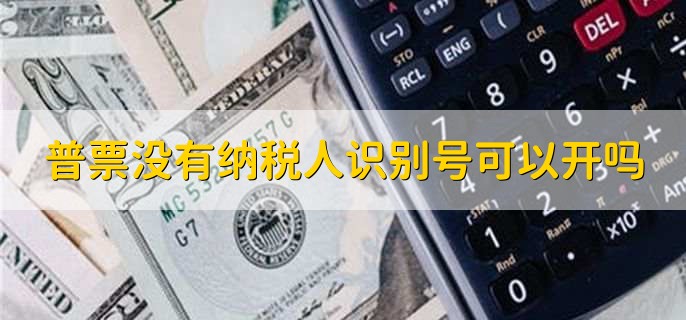 普票没有纳税人识别号可以开吗