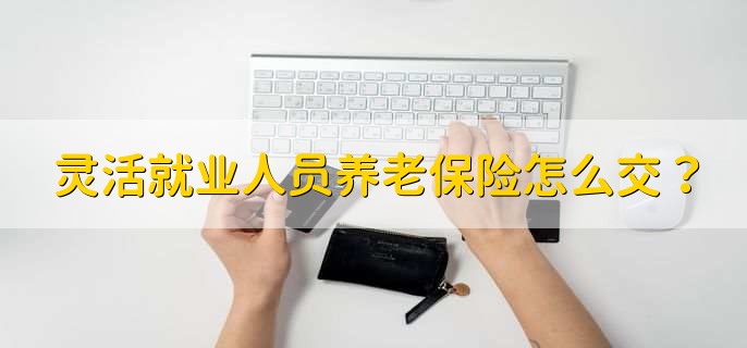 灵活就业人员养老保险怎么交？